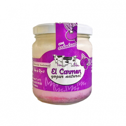 yogurt de arándanos
